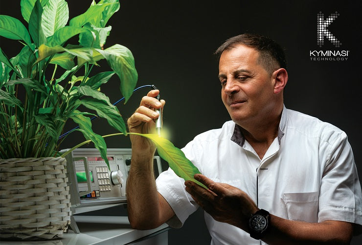 Kyminasi-Plants.jpg__PID:79a3d7c9-7957-40dd-91bc-e670a19ccd40